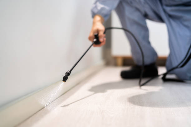 Licensed Pest Control service in Lauderhill, FL - Show Me Pest Control