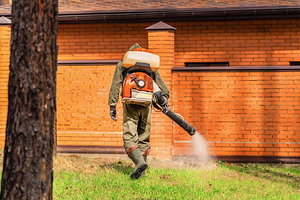 Bed Bug Clearance Verification and Documentation in Lauderhill